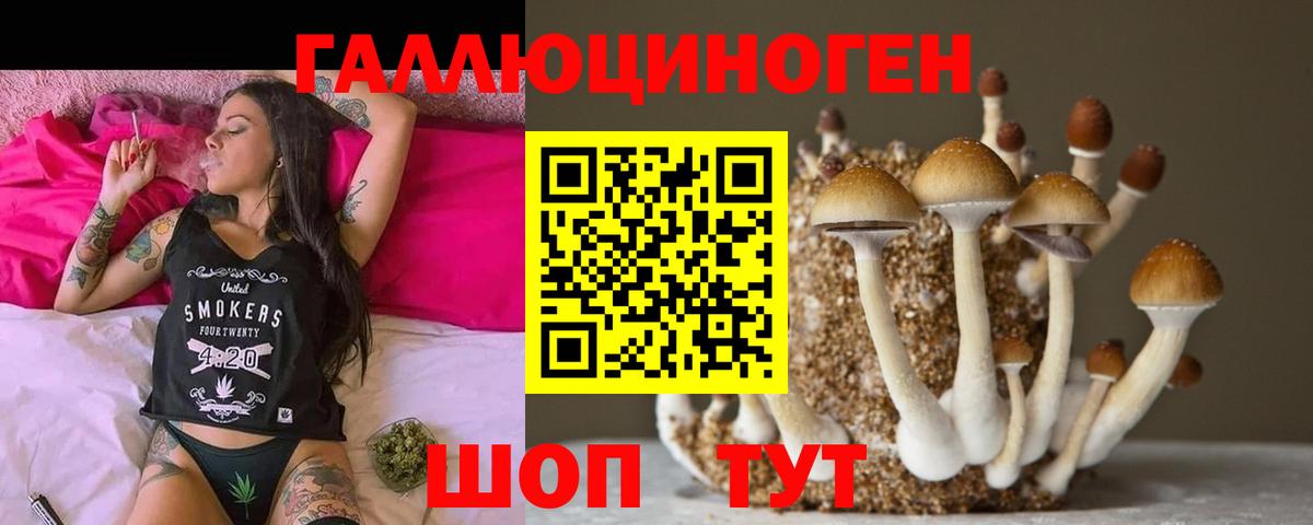 Галлюциногенные грибы GOLDEN TEACHER Йошкар-Ола