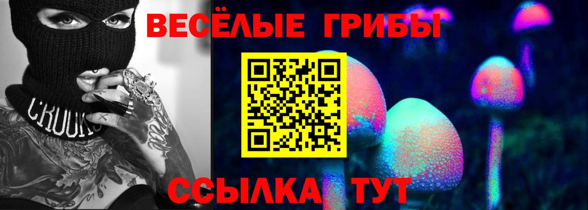 Йошкар-Ола  цены наркотик  Вход с VPN  Псилоцибиновые грибы мицелий  Галлюциногенные грибы прущие грибы 